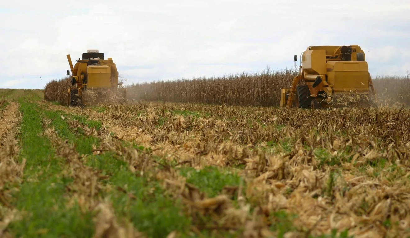 Agronegócio. Foto: Canva