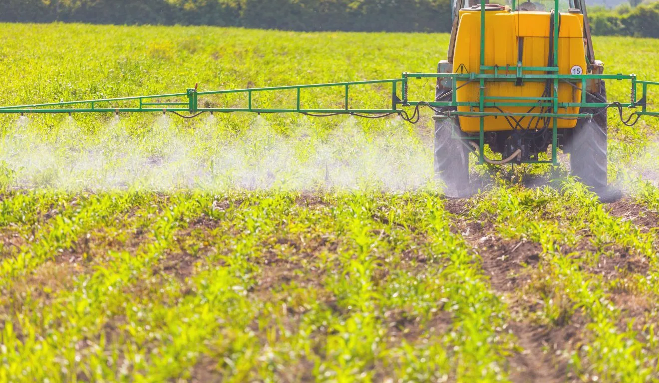 Solução reduz o consumo de água no campo. Foto: Canva