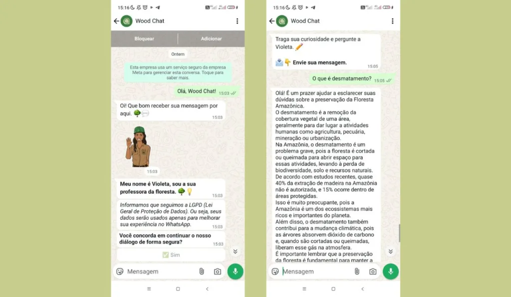 Chatbot faz quizzes, traz curiosidades e responde dúvidas sobre a Floresta Amazônica