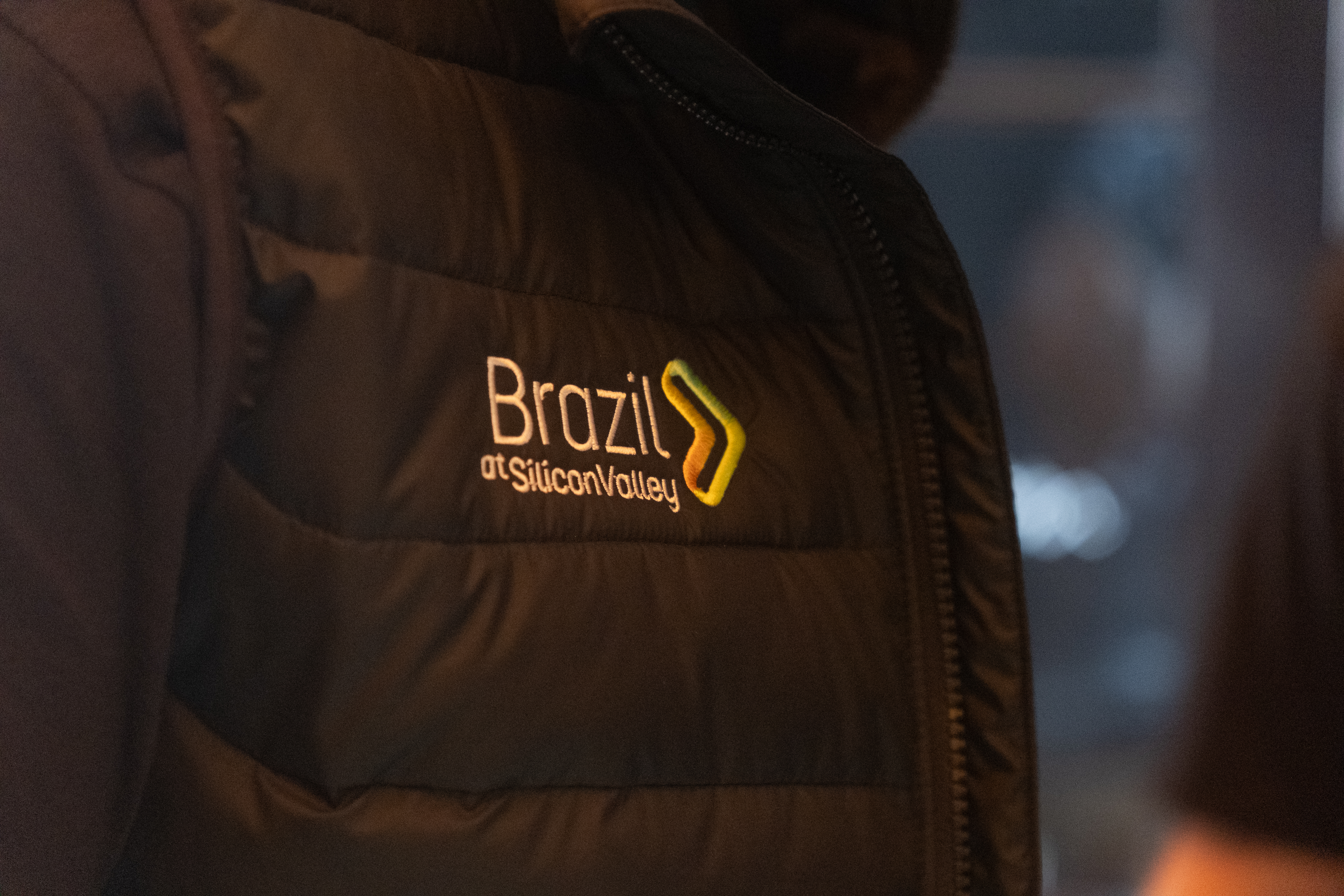 Brazil at Silicon Valley