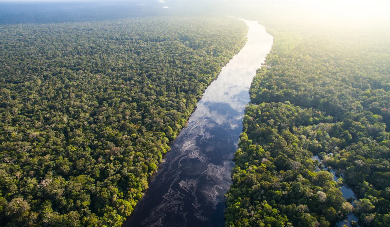 Mais investimentos para a inovação na região amazônica | Foto: Canva Mais investimentos para a inovação na região amazônica | Foto: Canva