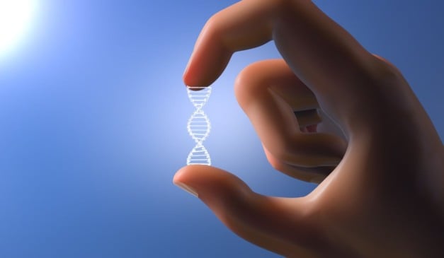 DNA