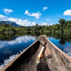 Amazônia | Foto: Canva