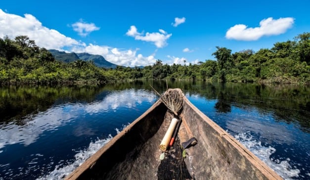 Amazônia | Foto: Canva