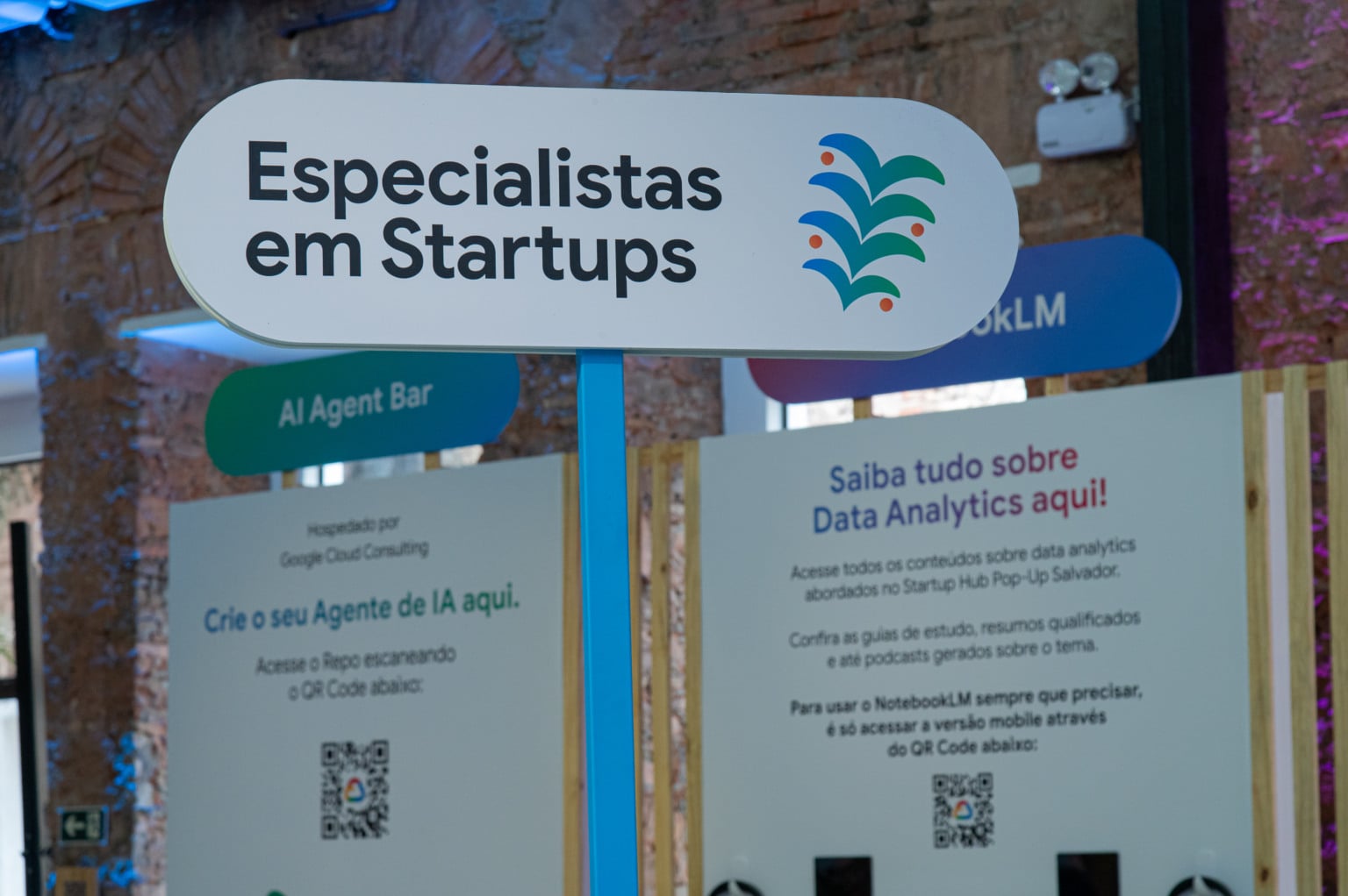 Foto: Divulgação Foto: Divulgação