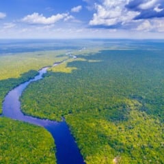 Floresta Amazônica | Foto: Canva