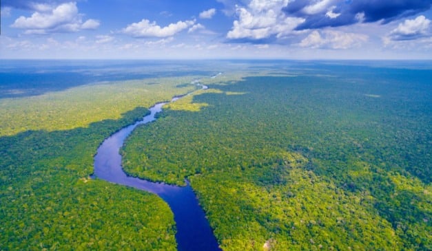 Floresta Amazônica | Foto: Canva