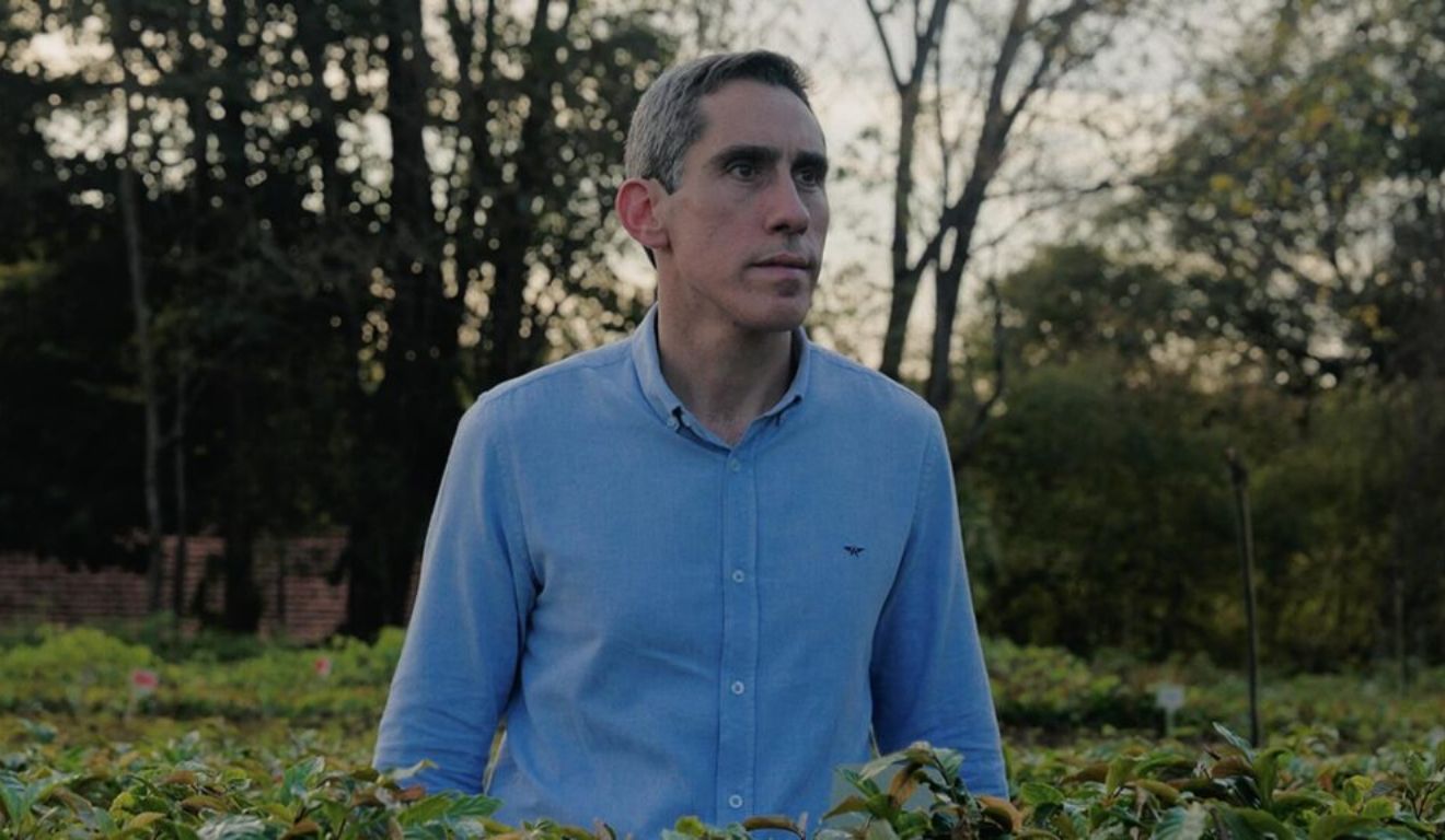 Thiago Picolo, CEO da re.green | Foto: Divulgação Thiago Picolo, CEO da re.green | Foto: Divulgação