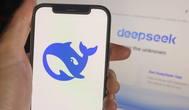 DeepSeek