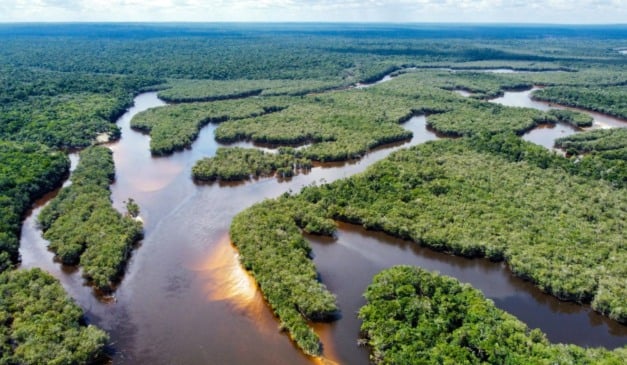 Rio Amazonas | Foto: Shutterstock