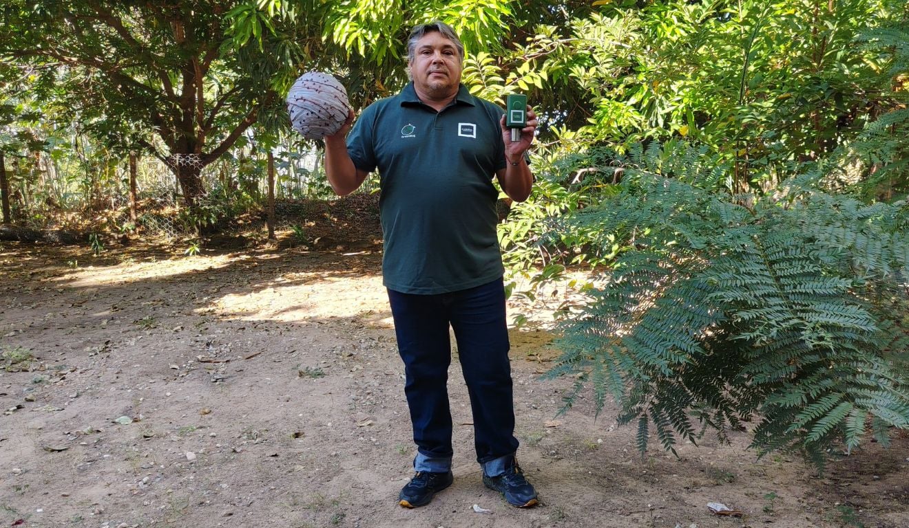Startups unem tecnologias para monitorar incêndios em tempo real