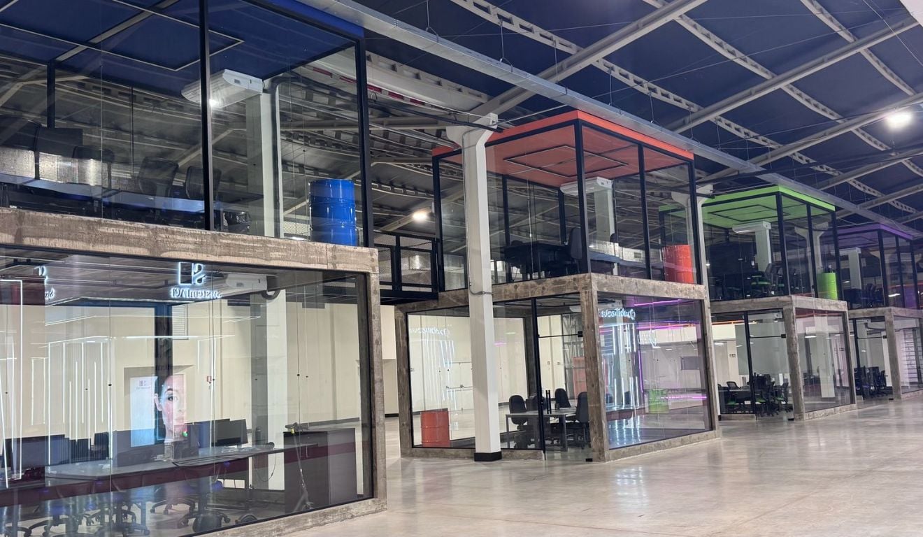 Lions Startups acelera expansão com meta de incubar 100 startups em 5 anos